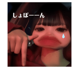 762651406