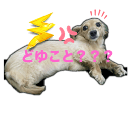 762651434