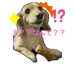 762651435