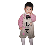762662643