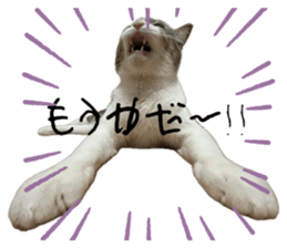 762665468