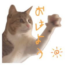 762665469