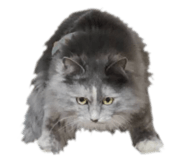 762665482