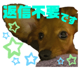 762666930
