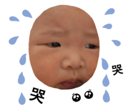 762667517