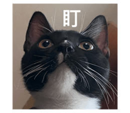 762667940
