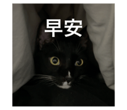 762667949