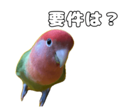 762679994