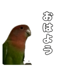 762679995