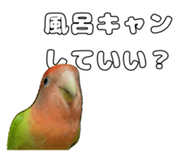 762679998
