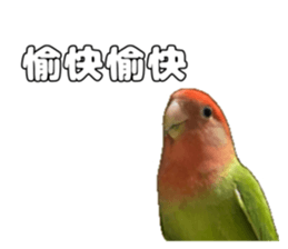762679999