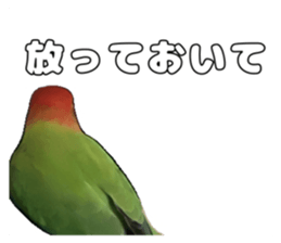 762680000