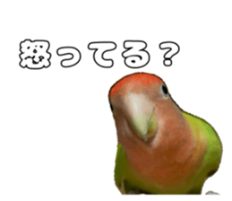 762680002