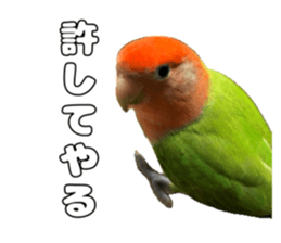 762680005