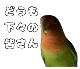762680009