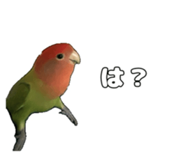 762680010