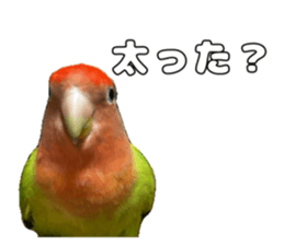 762680013