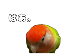 762680014