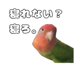 762680016