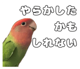 762680017