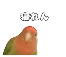 762680019