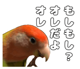 762680020