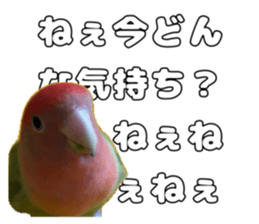 762680026