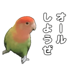 762680027