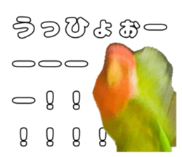 762680028