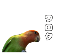 762680030