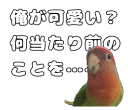 762680032