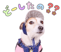 762683350