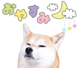 762683812