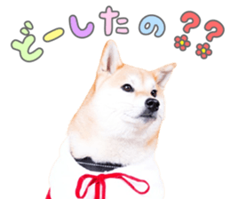 762683814