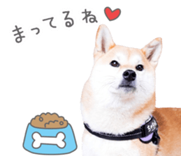 762683816