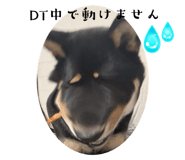 762685039