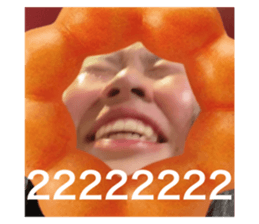 762695255