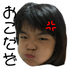 76269788