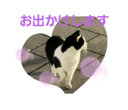 762711489