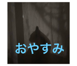 762712585