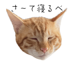 762721358