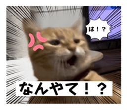 762722209
