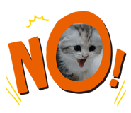 762725988