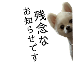 762735202