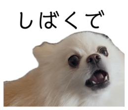 762735216