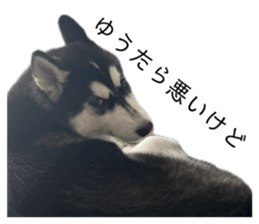 762735227