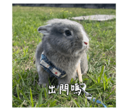762736669