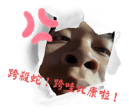 762749010