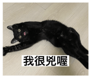 762750194