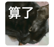 762750215